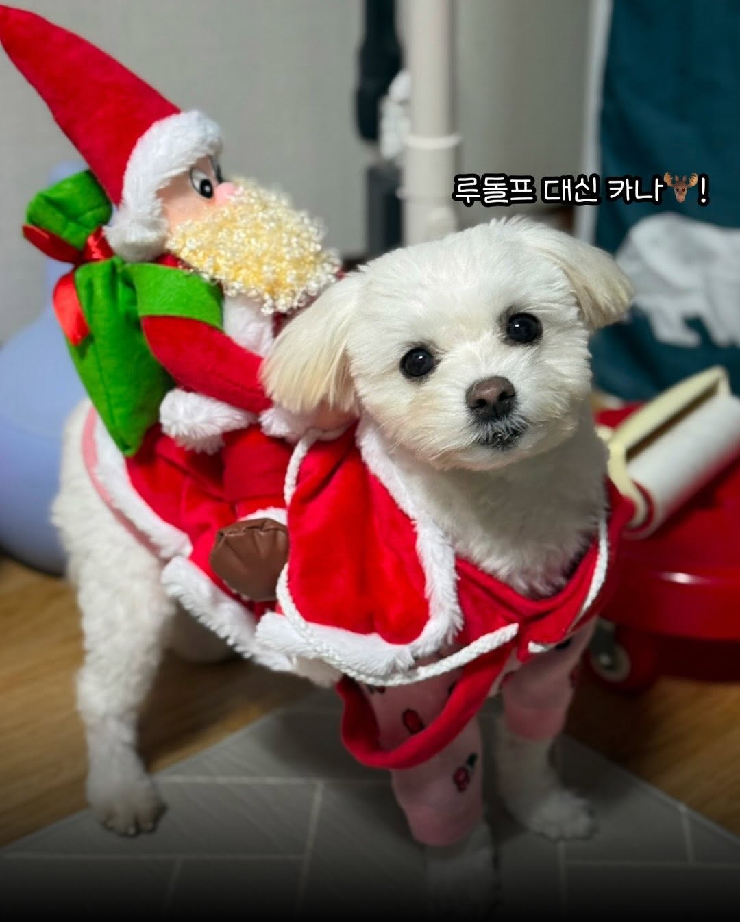 상세 사진 18