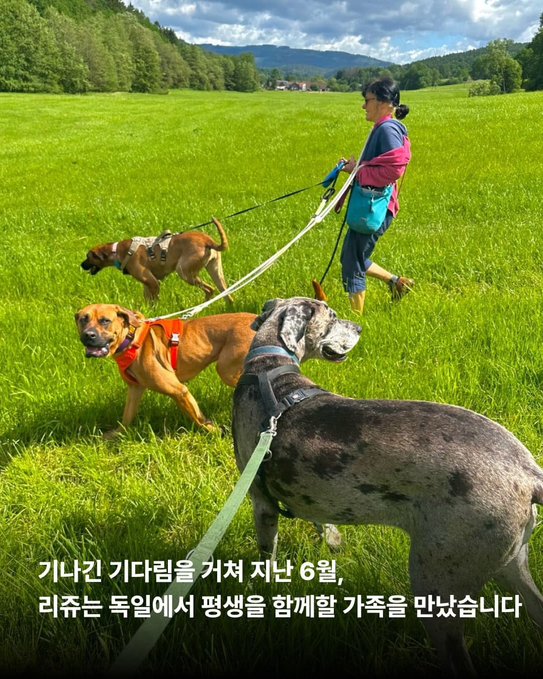상세 사진 5