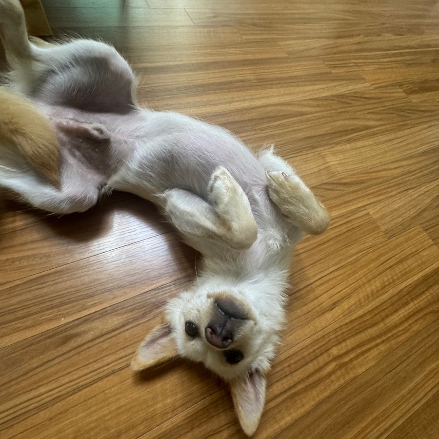 상세 사진 5