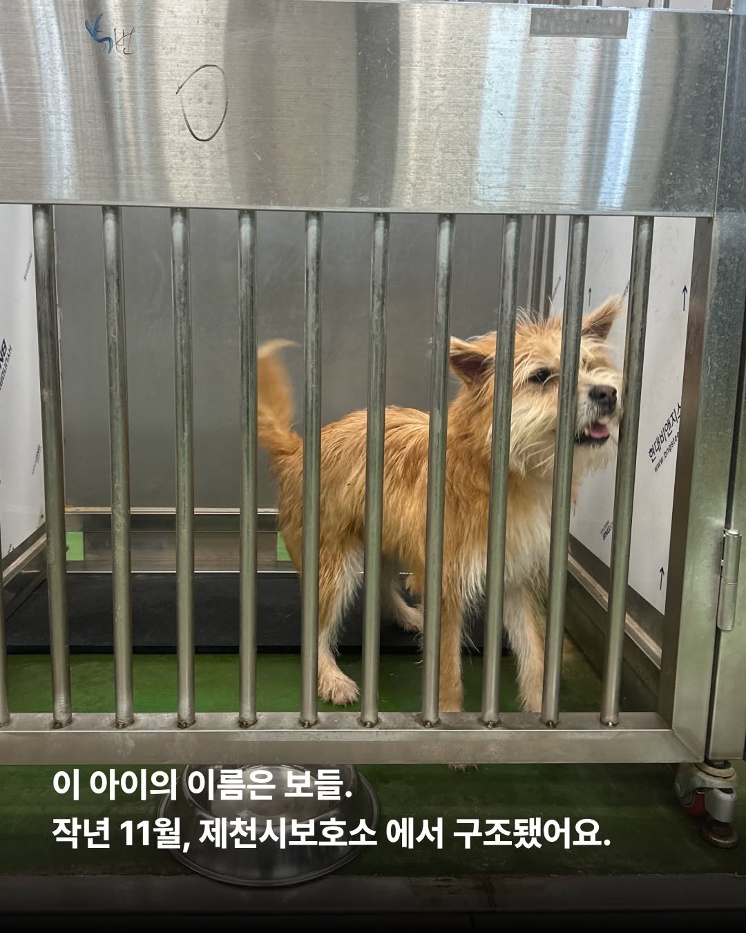 상세 사진 3
