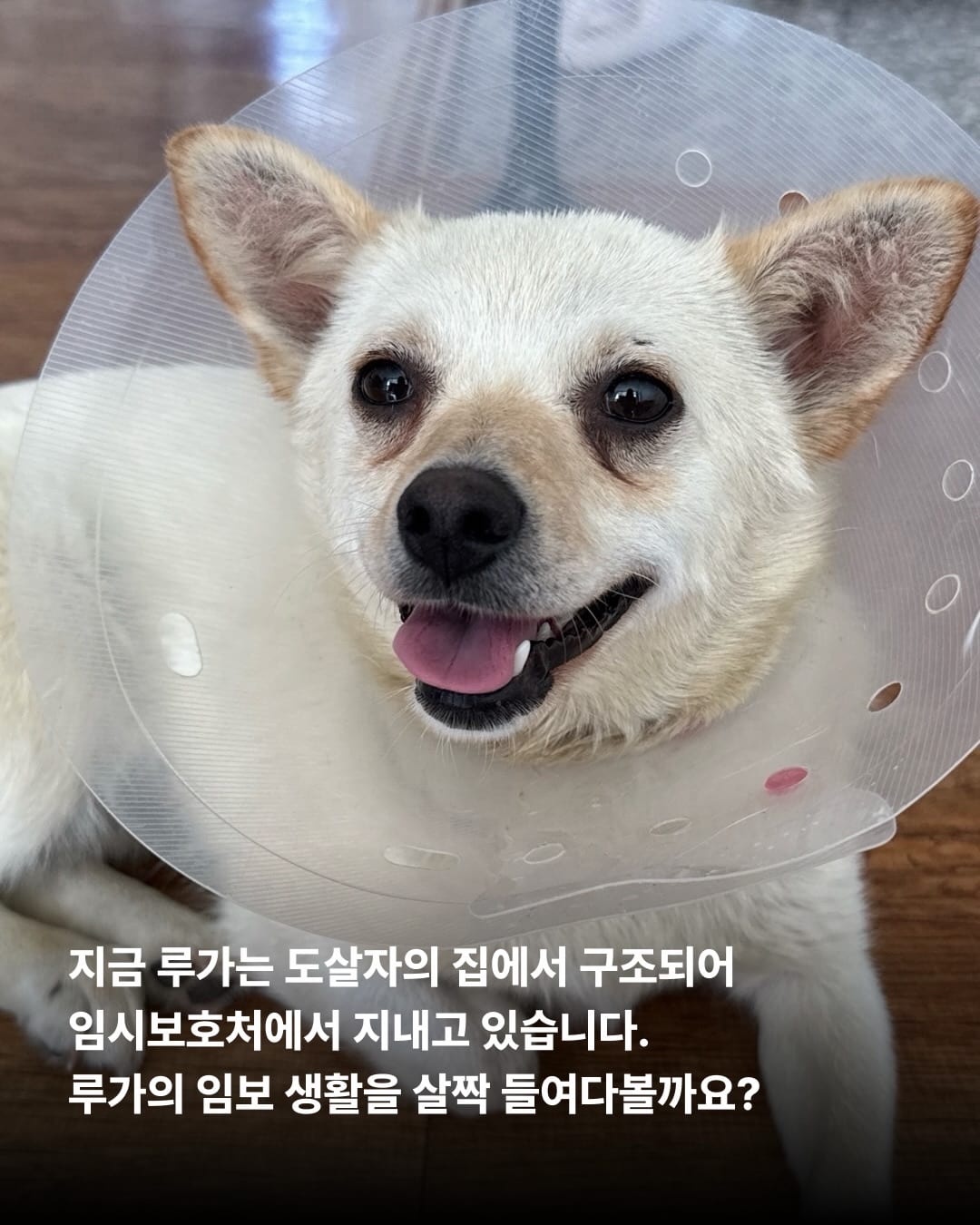 상세 사진 3