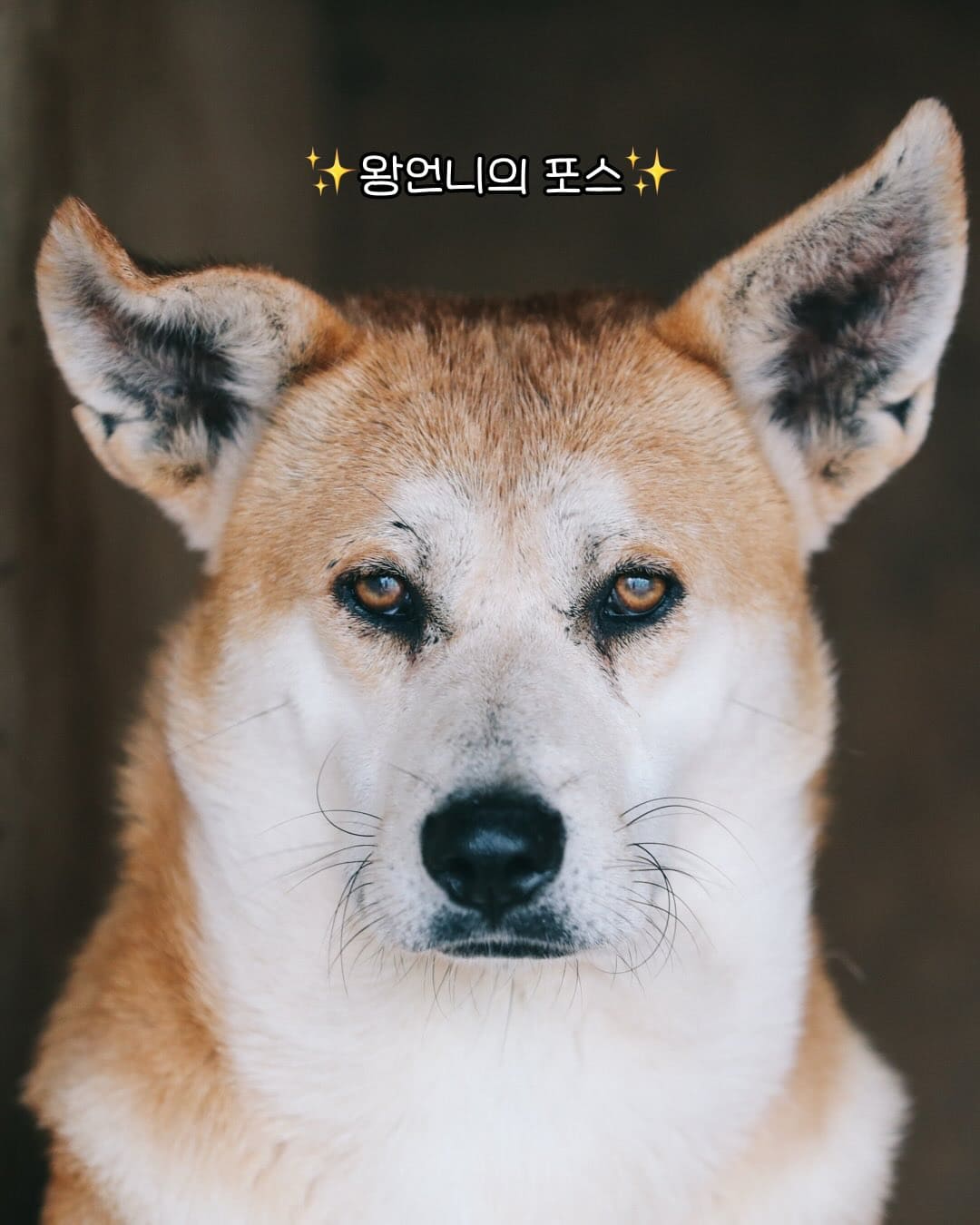 상세 사진 2
