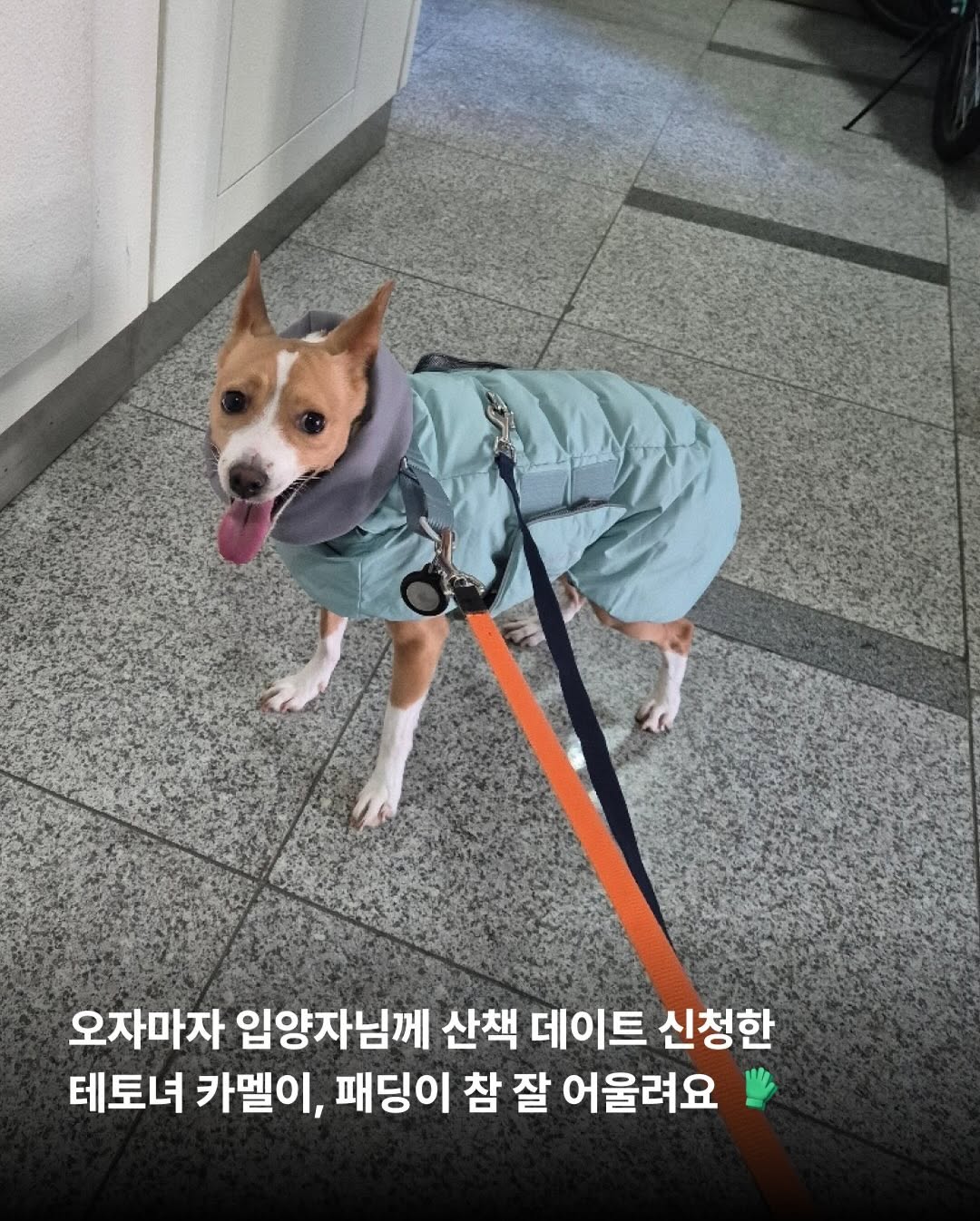 상세 사진 12