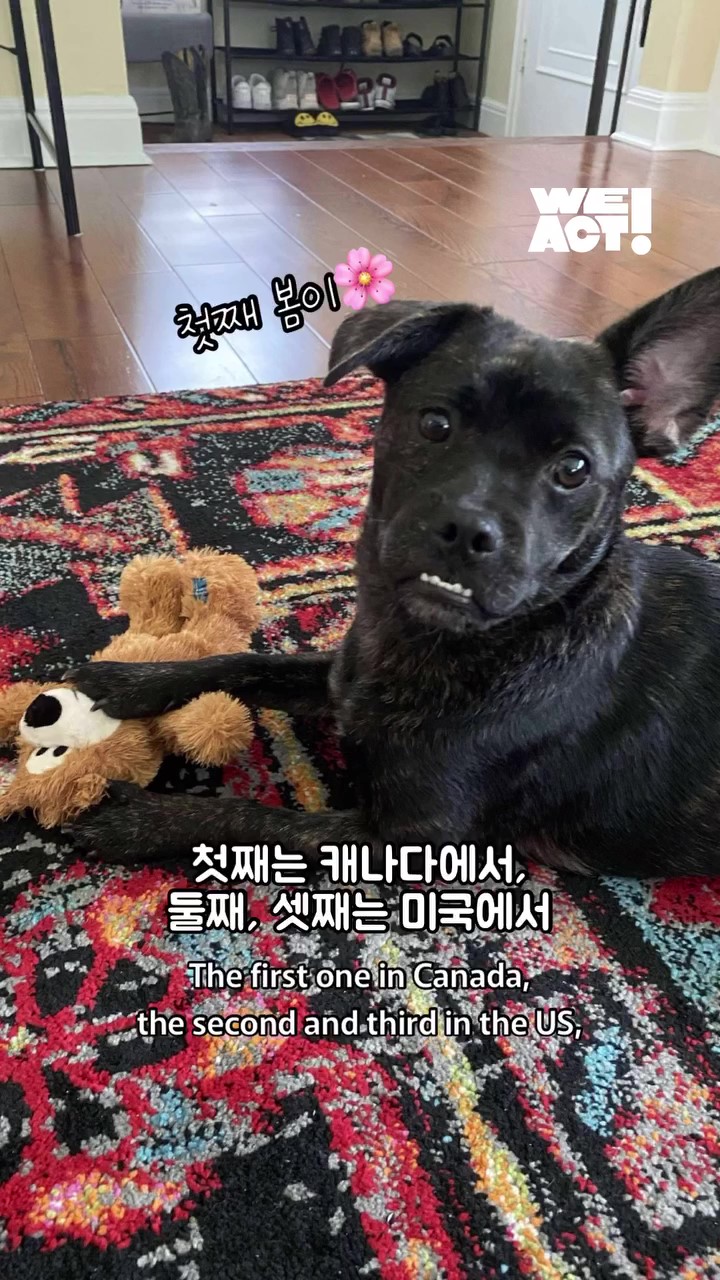 상세 사진 13