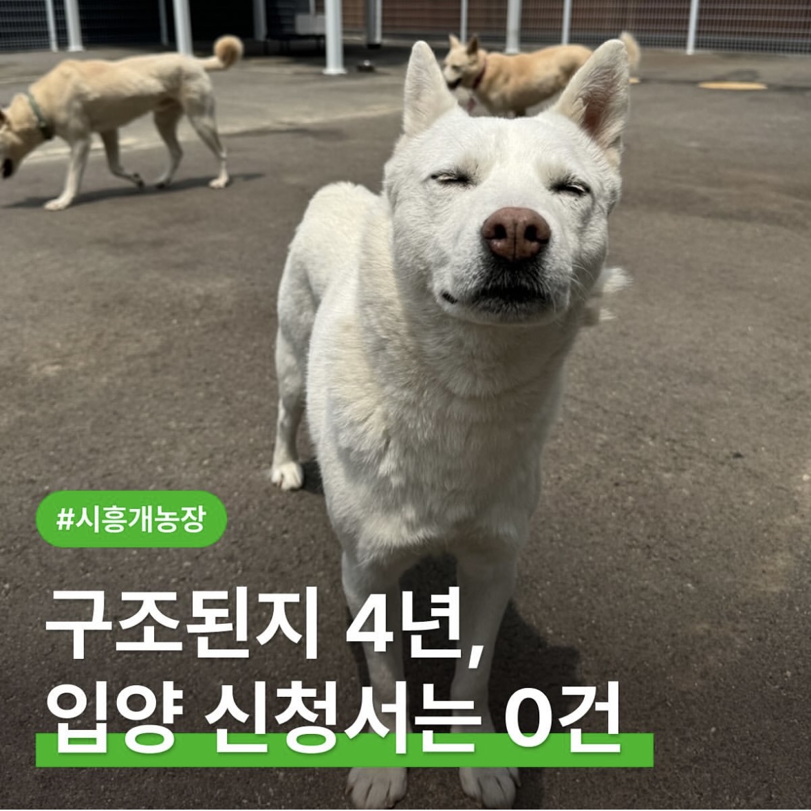 상세 사진 1