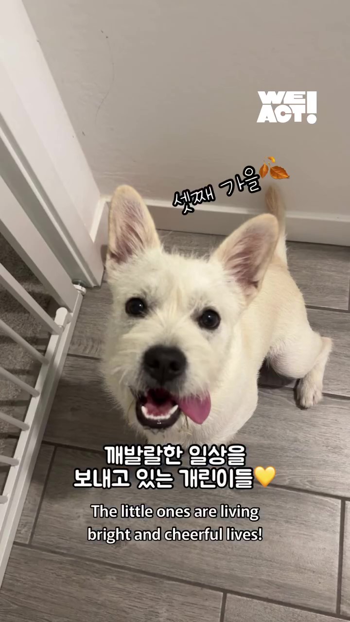 상세 사진 15