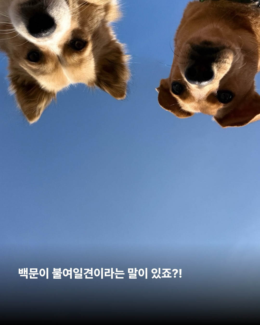 상세 사진 2