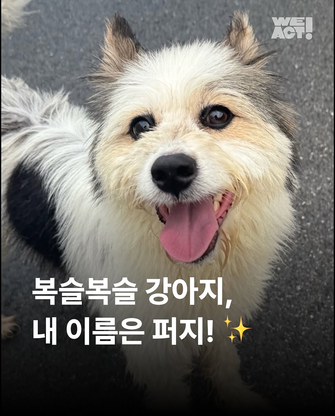 상세 사진 1