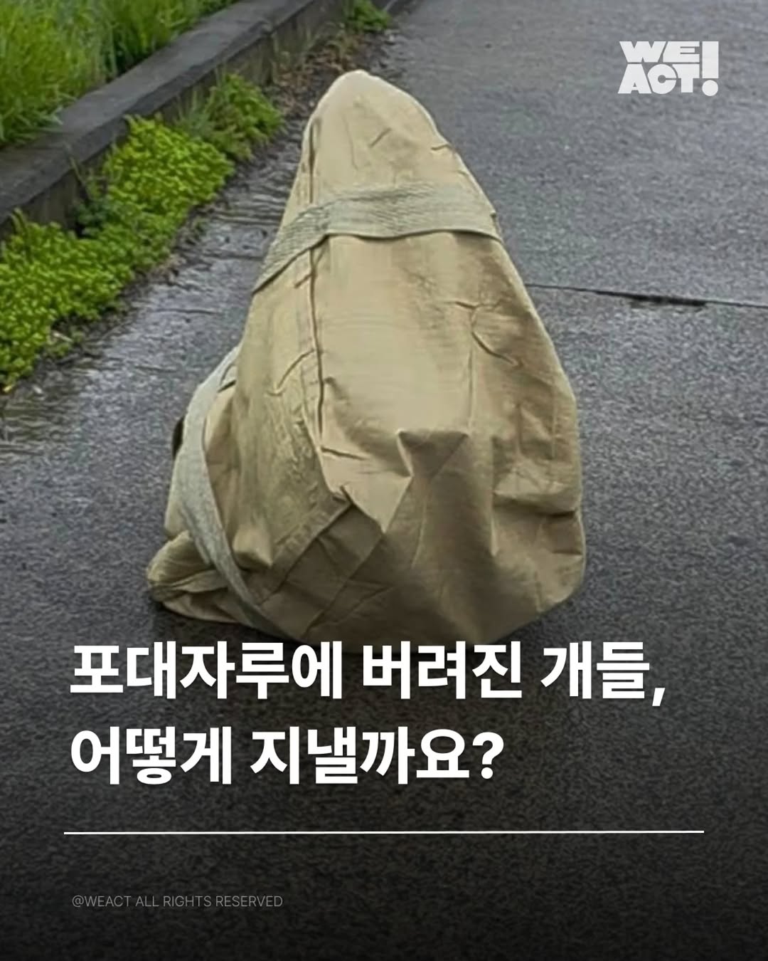 상세 사진 1