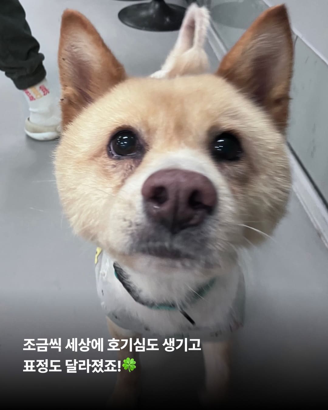 상세 사진 7