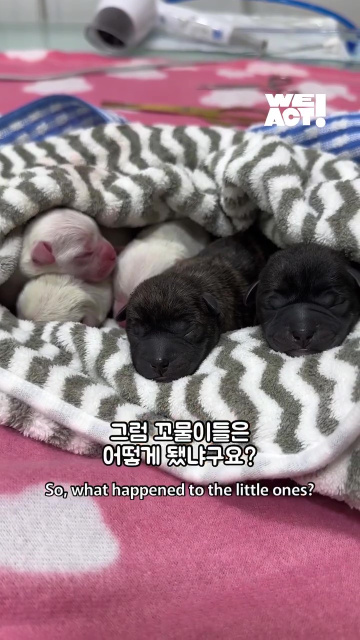 상세 사진 12