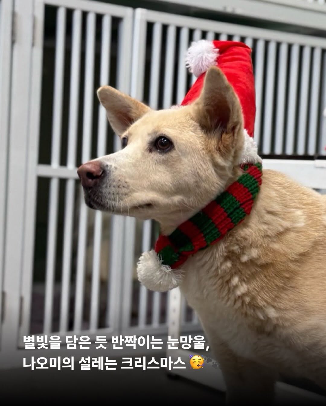 상세 사진 3