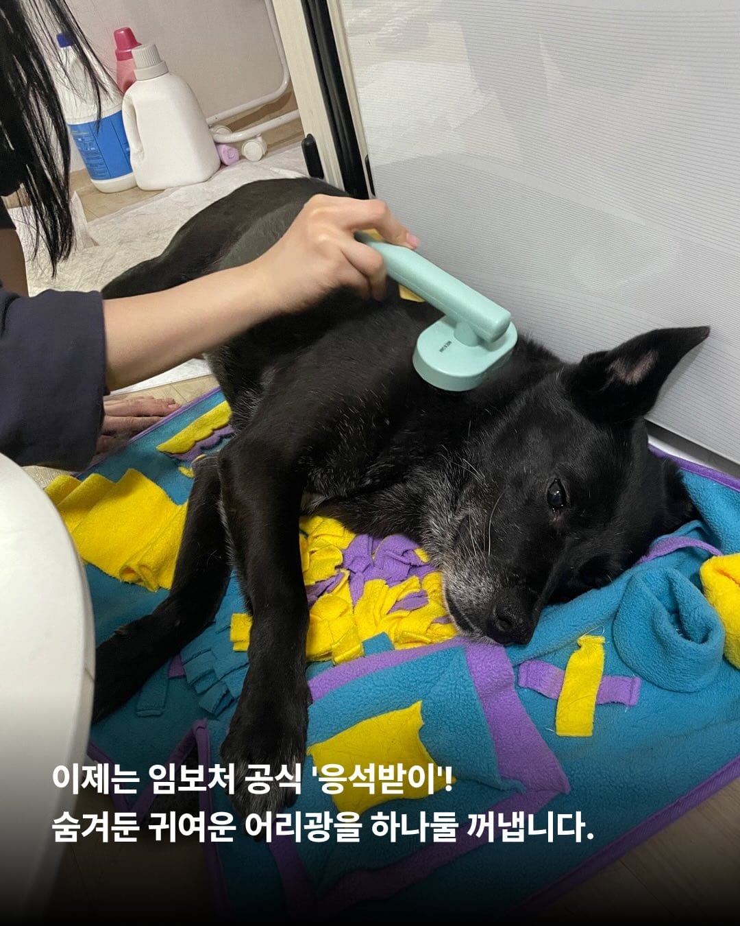 상세 사진 5