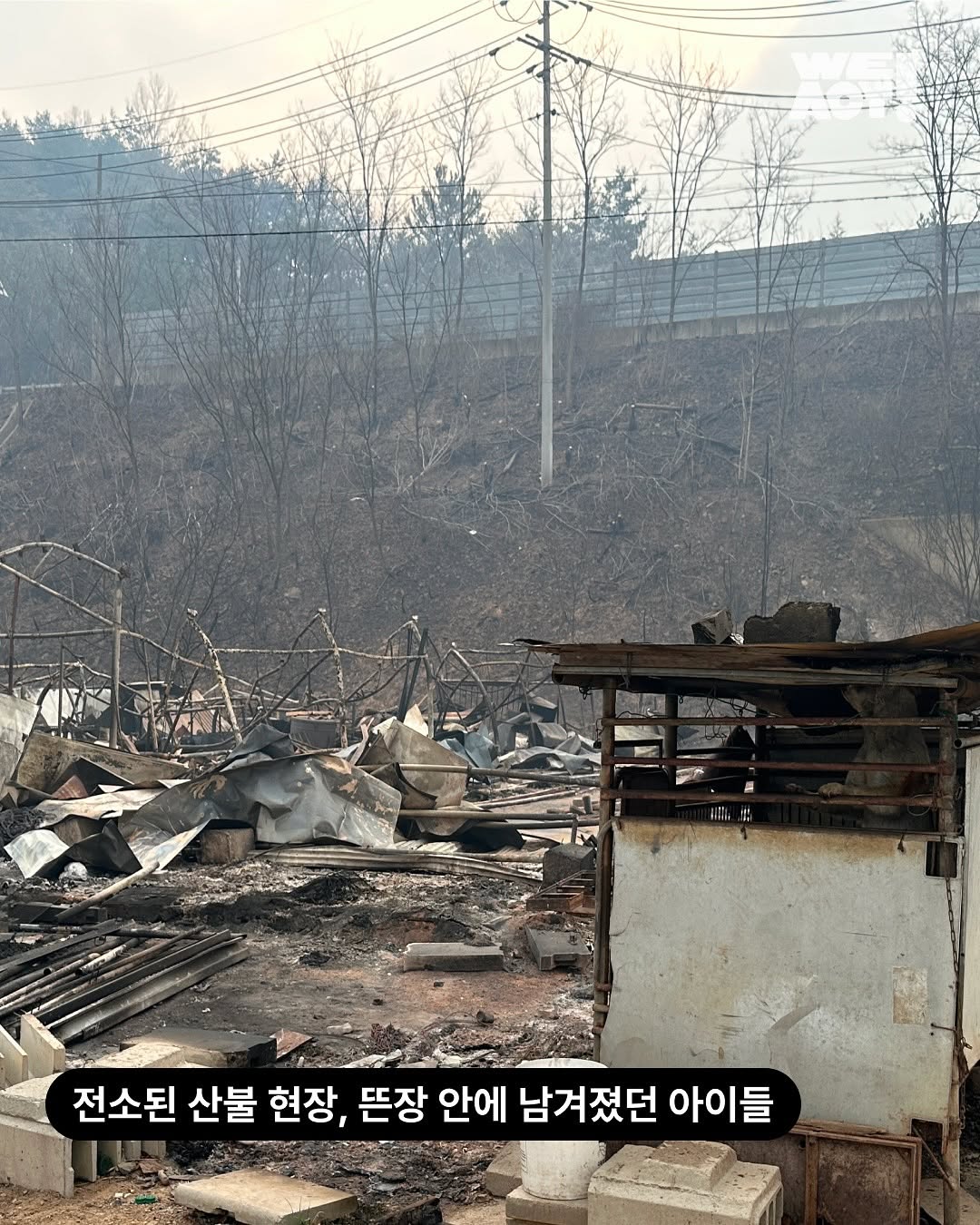 상세 사진 2