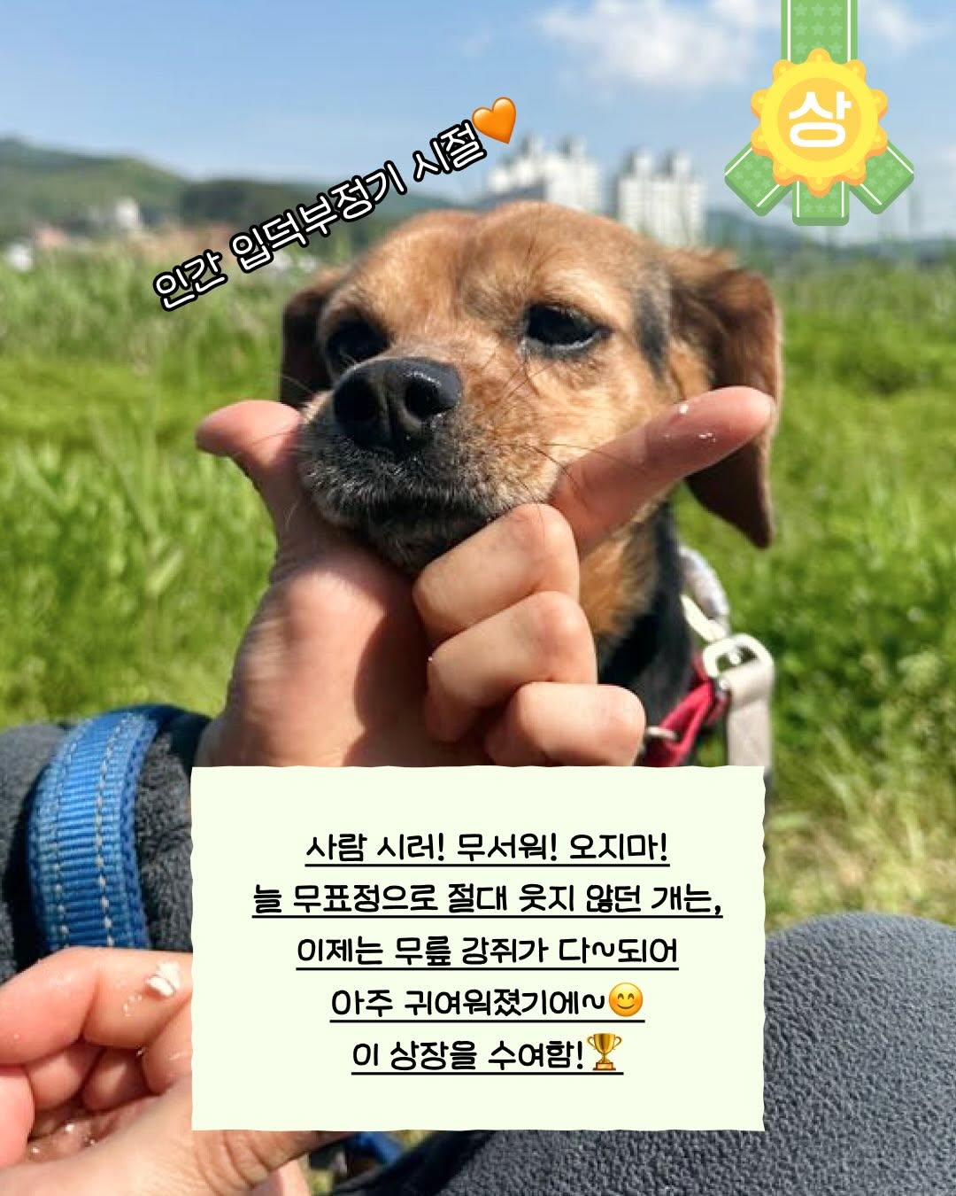 상세 사진 2