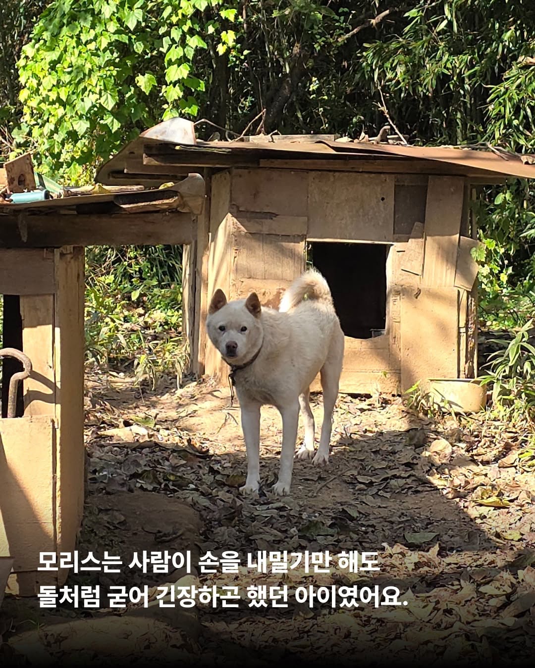 상세 사진 5