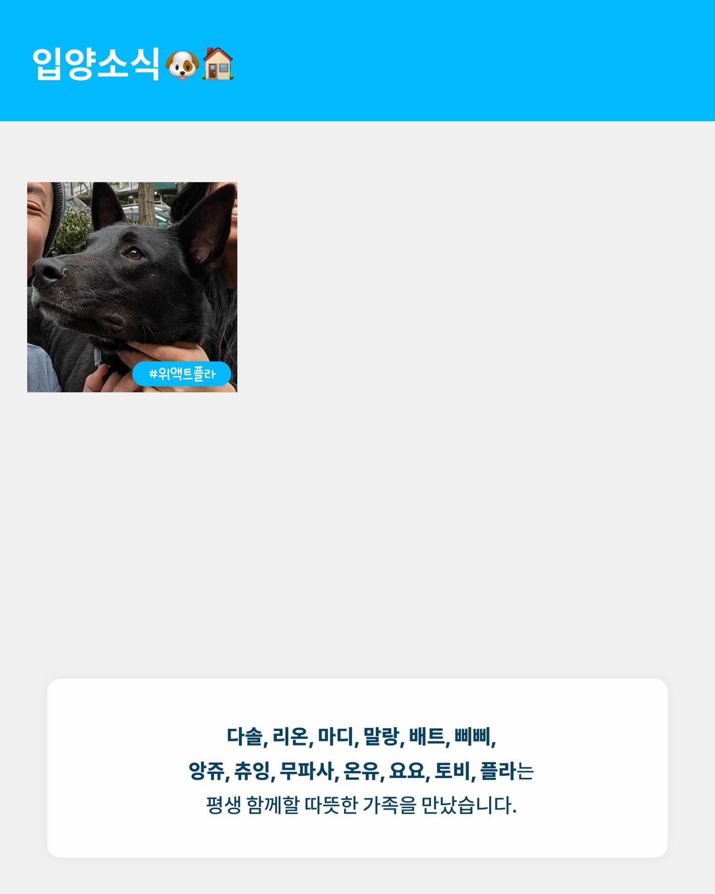 상세 사진 4