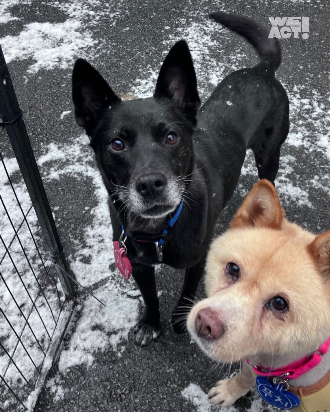 상세 사진 13