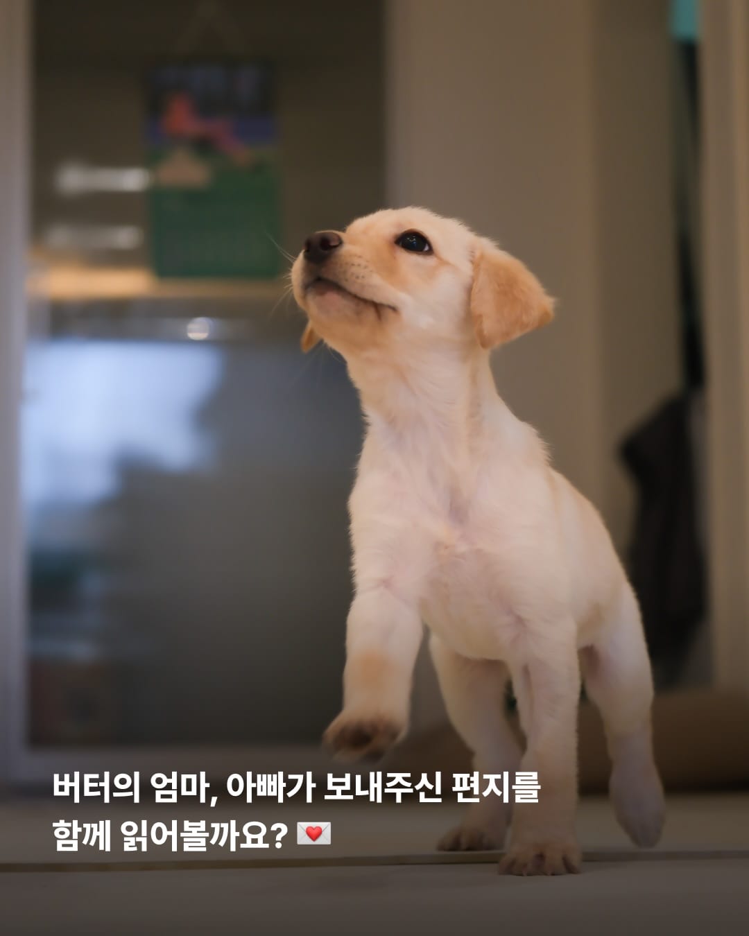 상세 사진 4