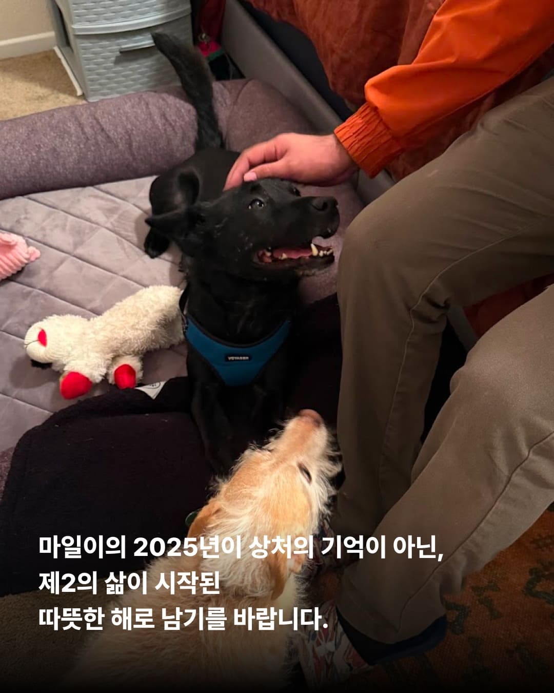 상세 사진 10