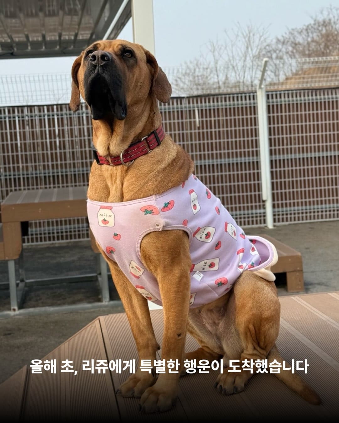 상세 사진 3