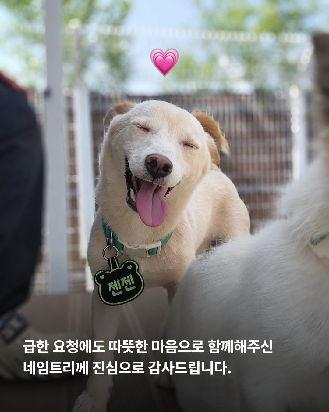상세 사진 12