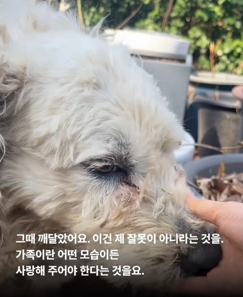 상세 사진 9