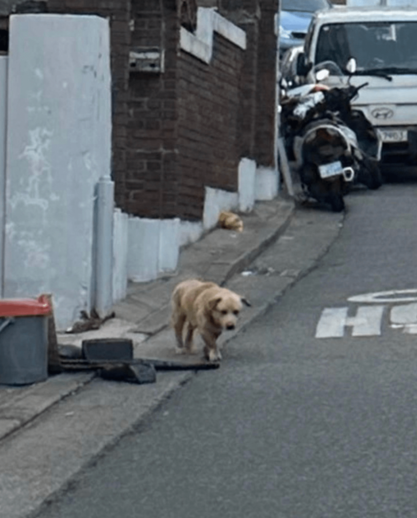상세 사진 7
