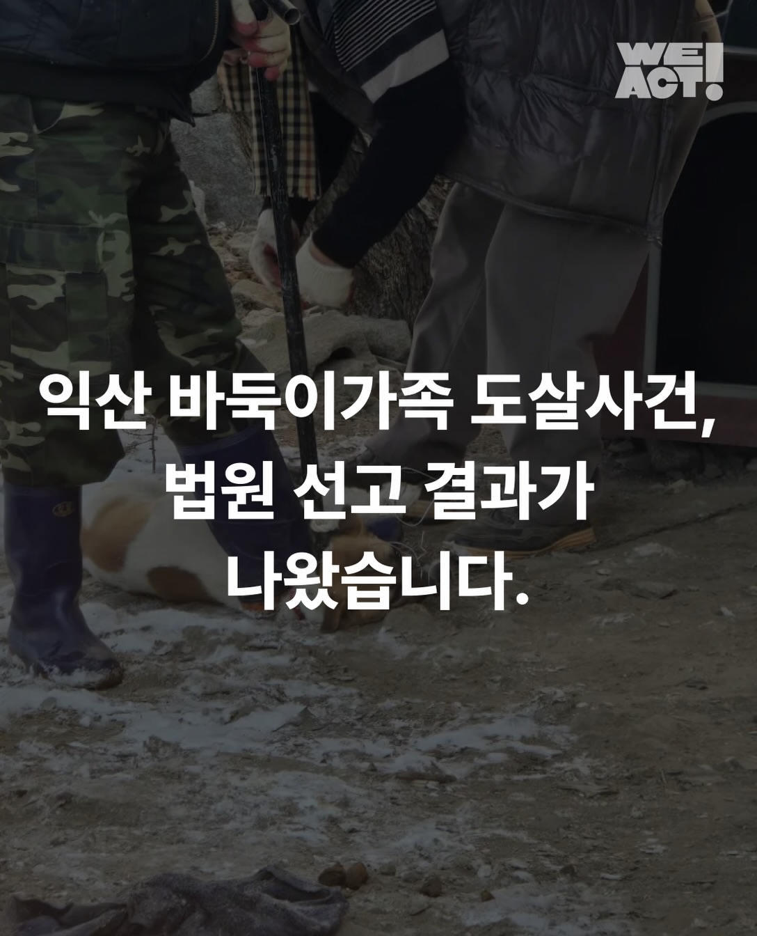 상세 사진 1
