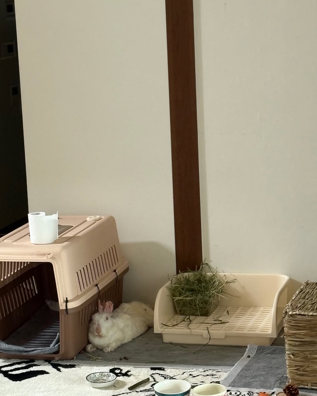 상세 사진 5