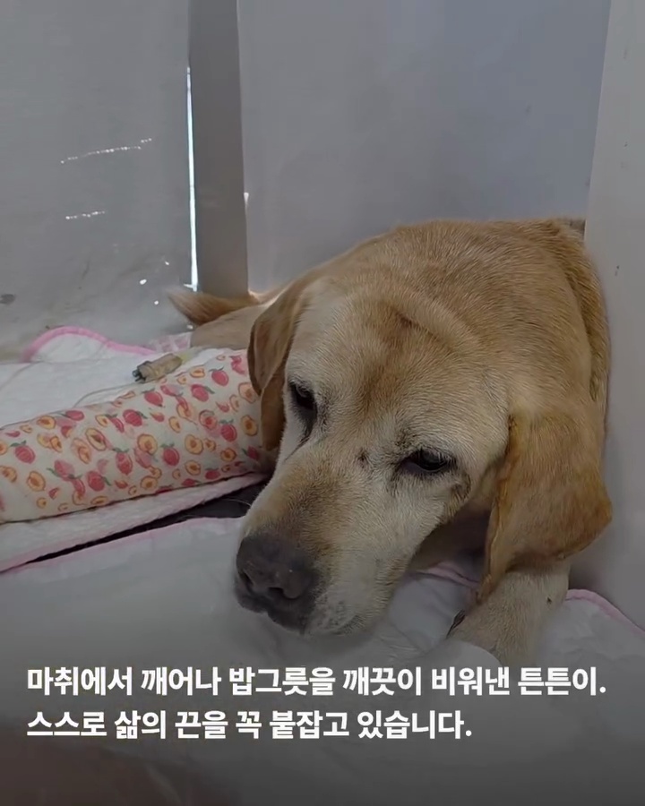 상세 사진 8