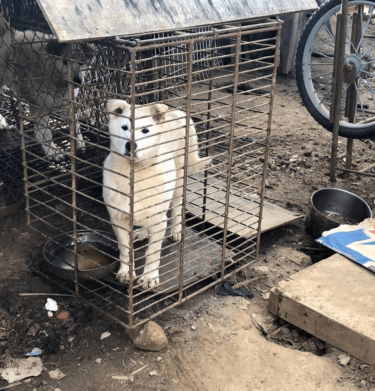 상세 사진 4