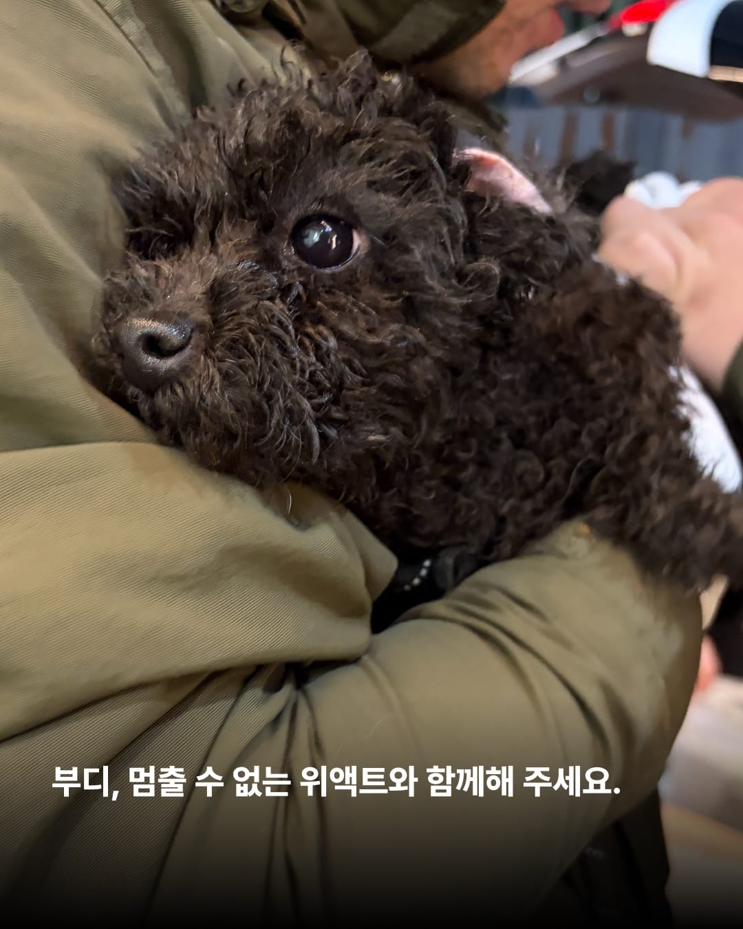 상세 사진 13