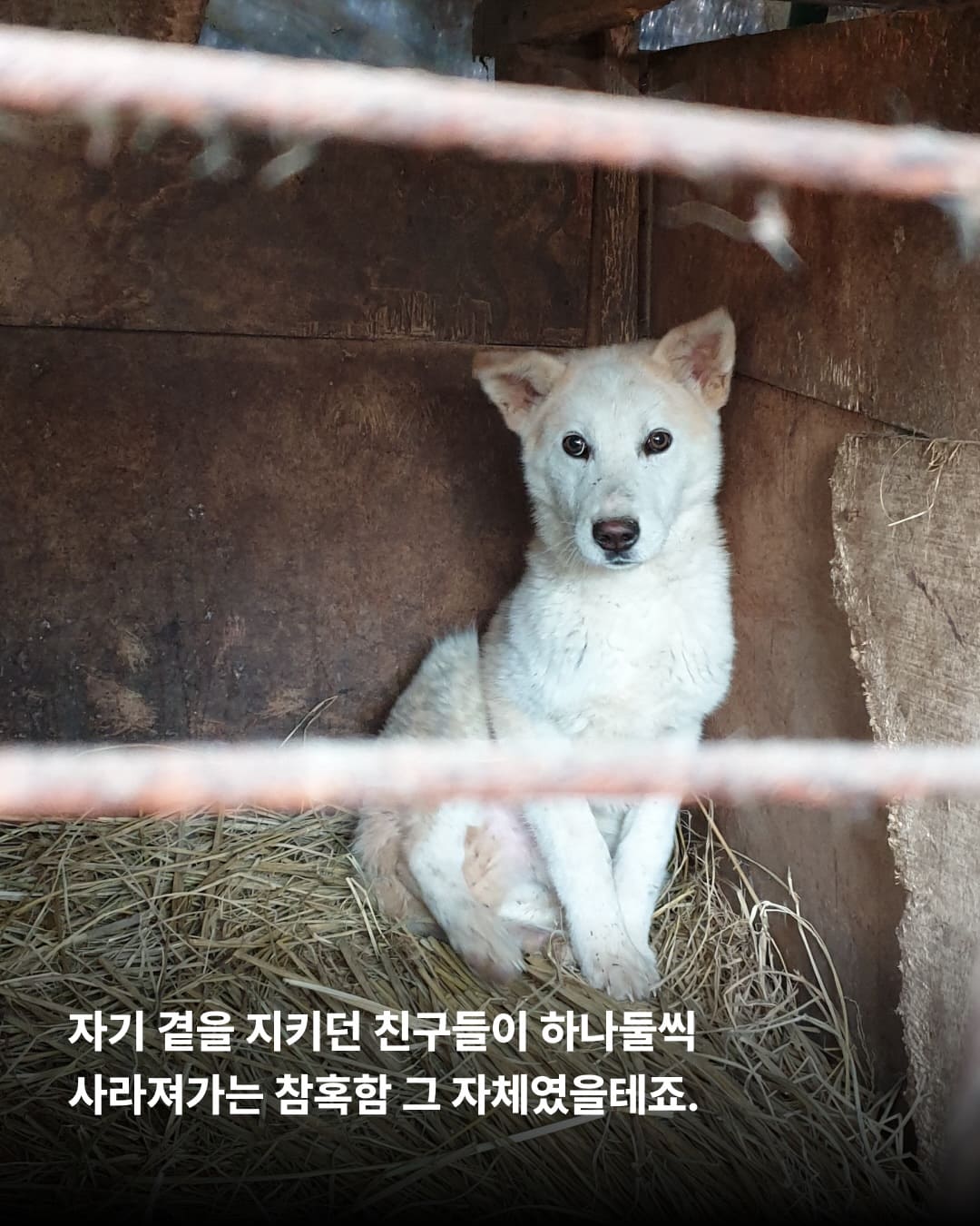 상세 사진 4