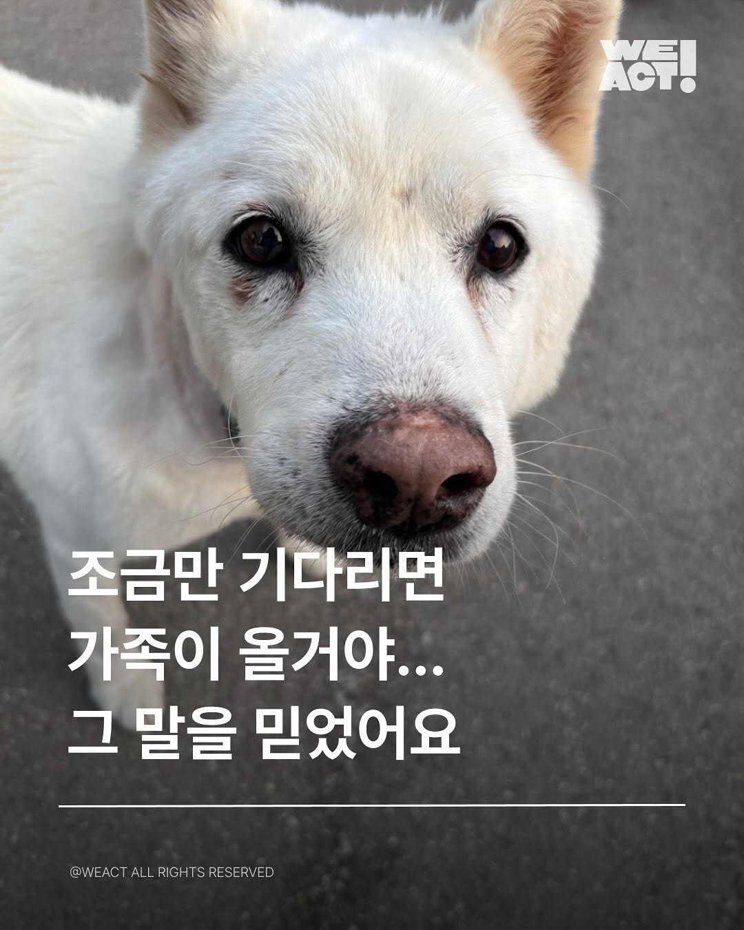 상세 사진 1