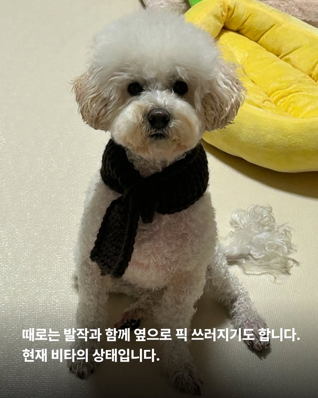 상세 사진 4