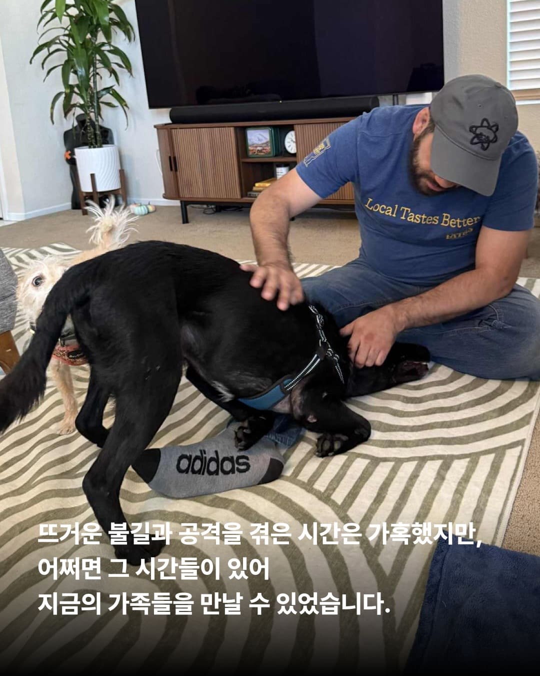 상세 사진 8