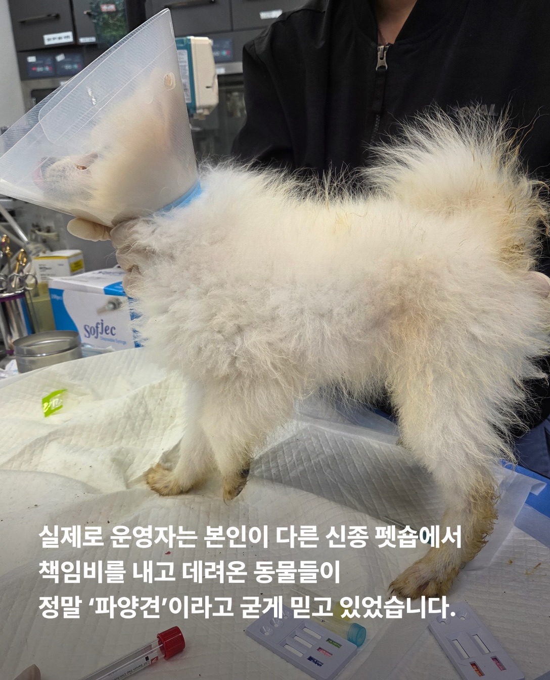 상세 사진 10