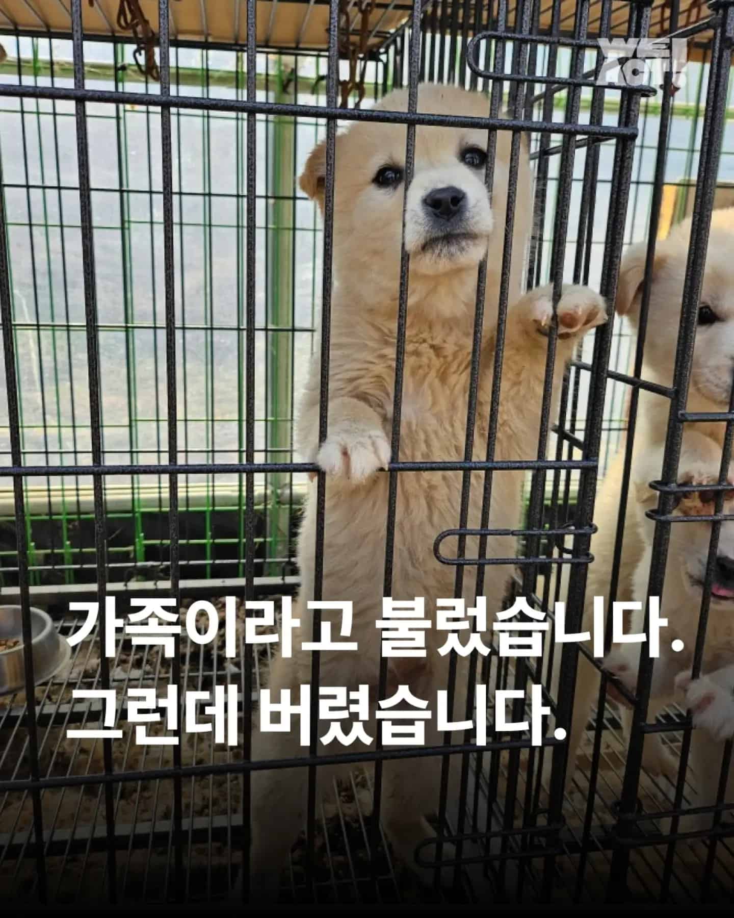 상세 사진 1