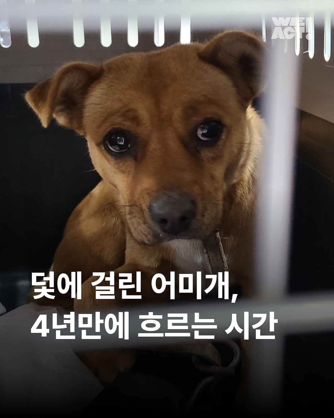 상세 사진 1
