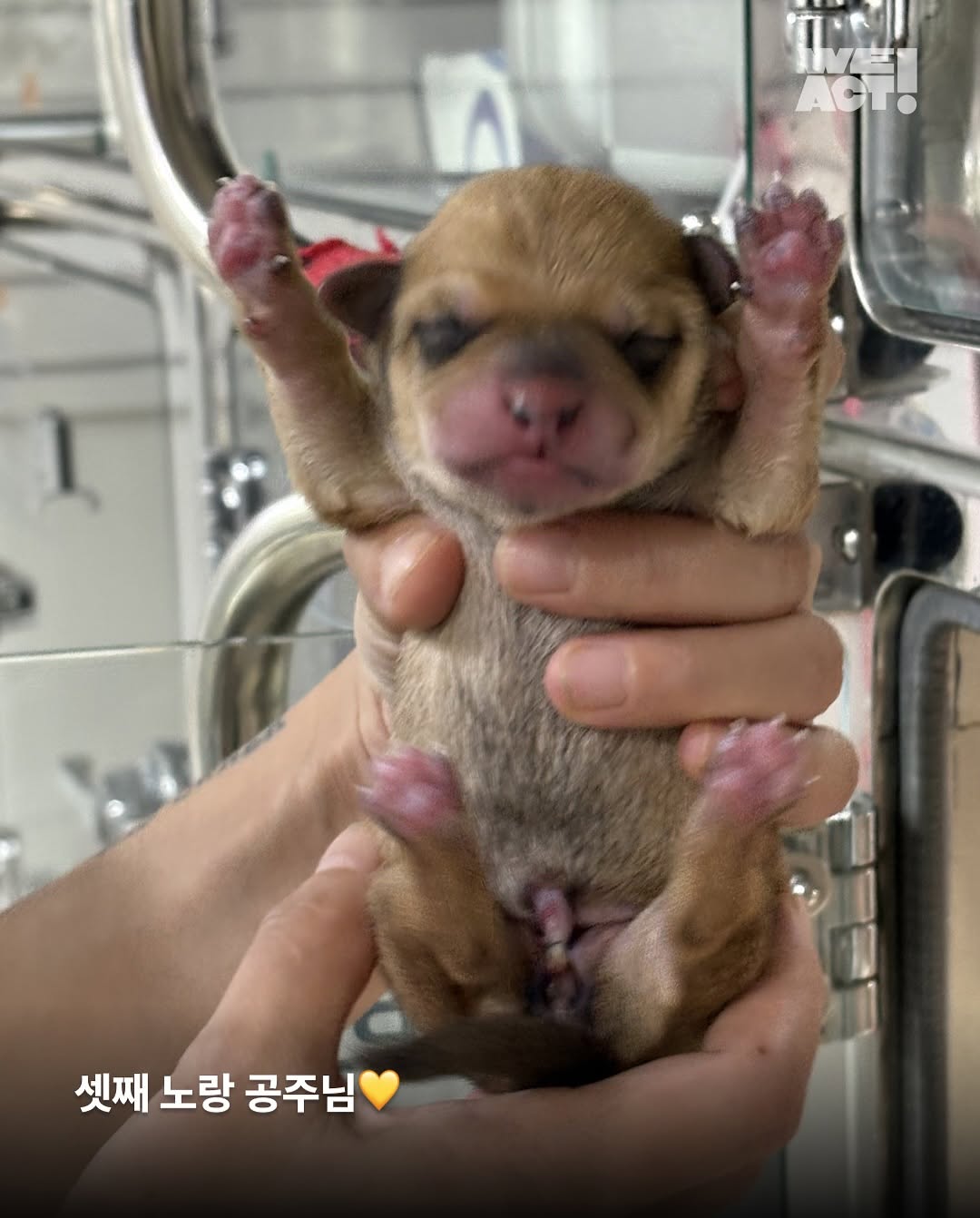 상세 사진 4