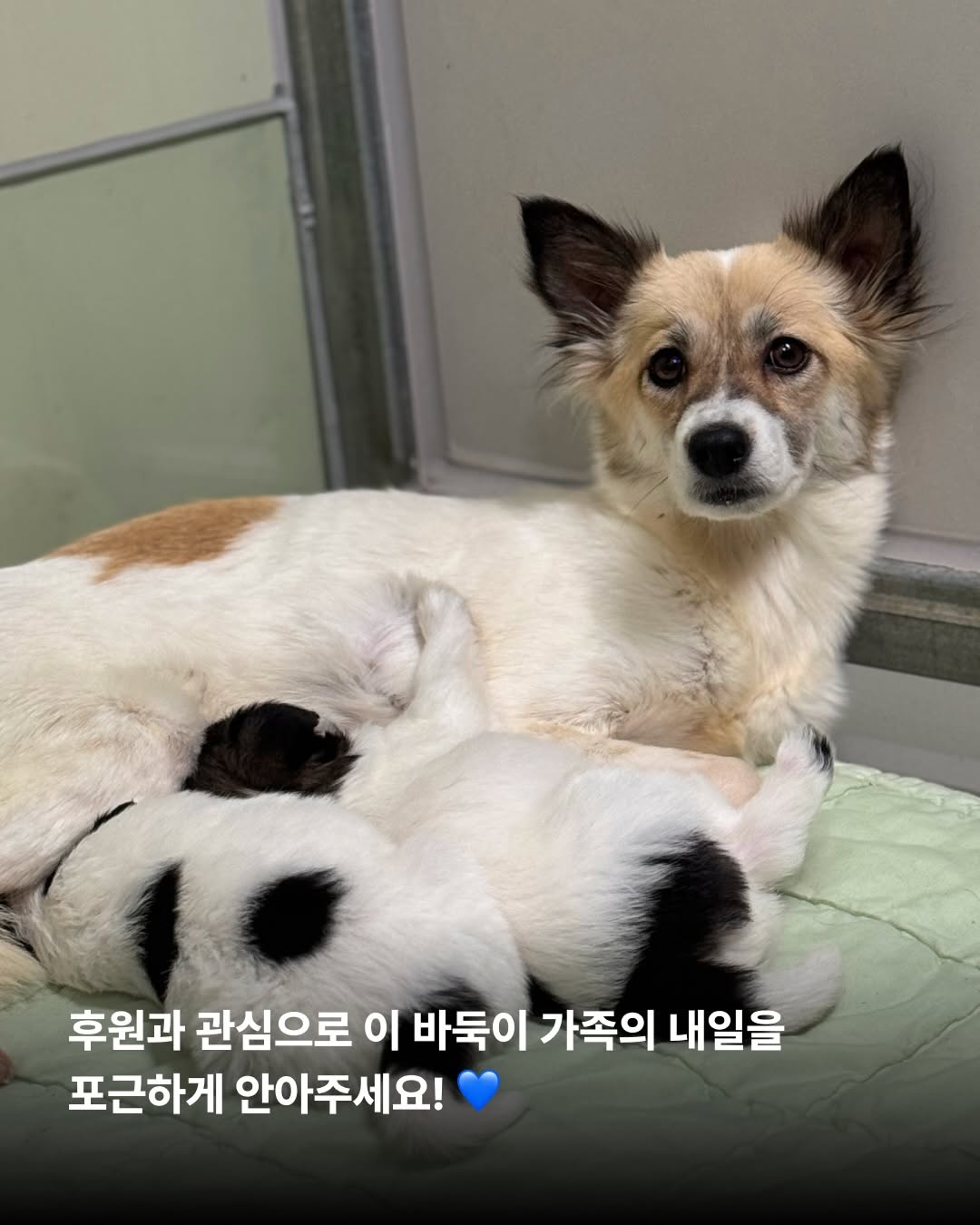 상세 사진 12