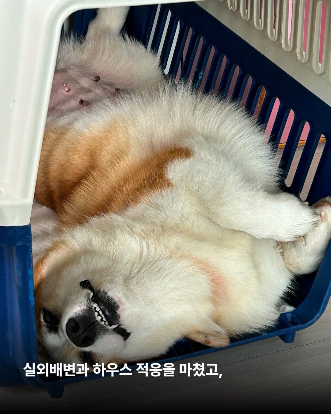 상세 사진 6