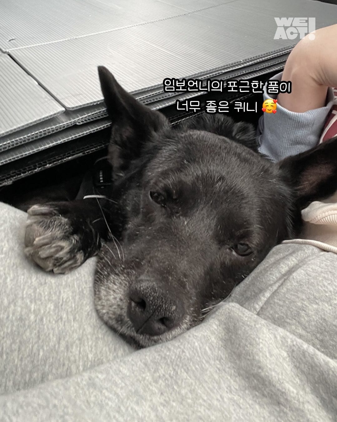 상세 사진 10