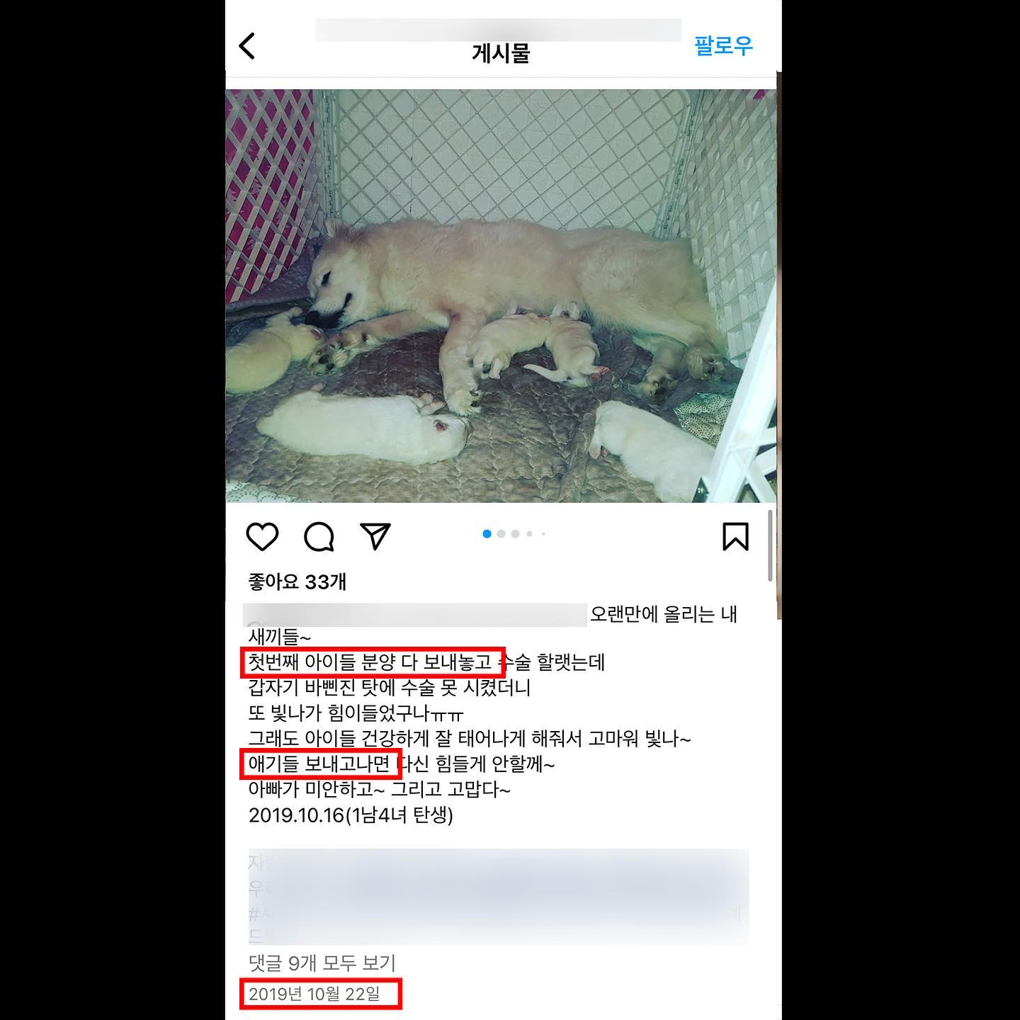 상세 사진 3