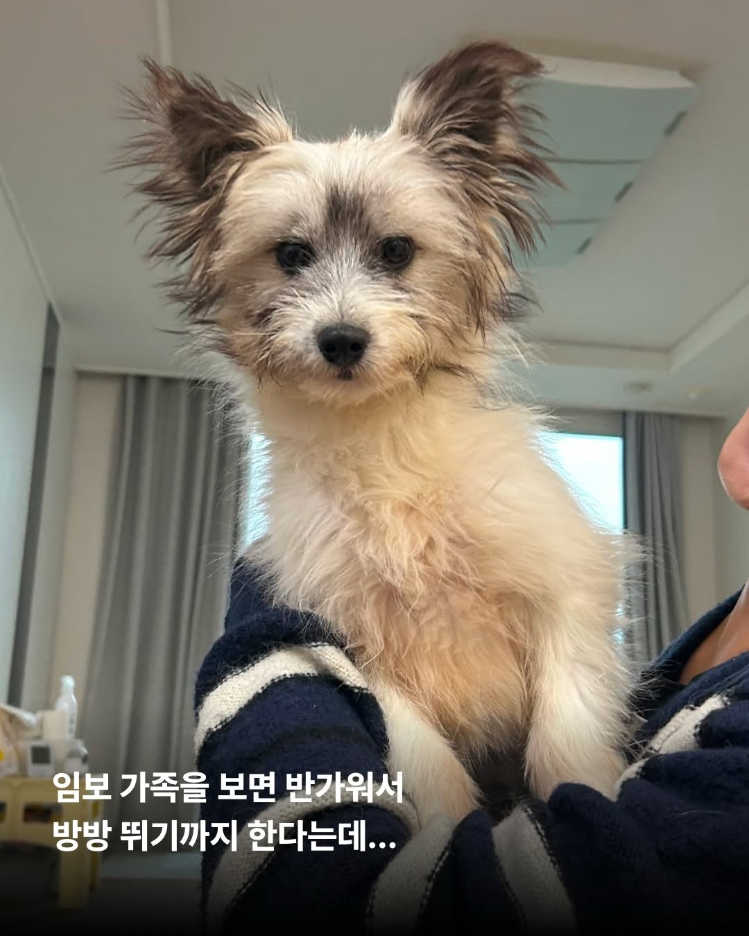 상세 사진 6