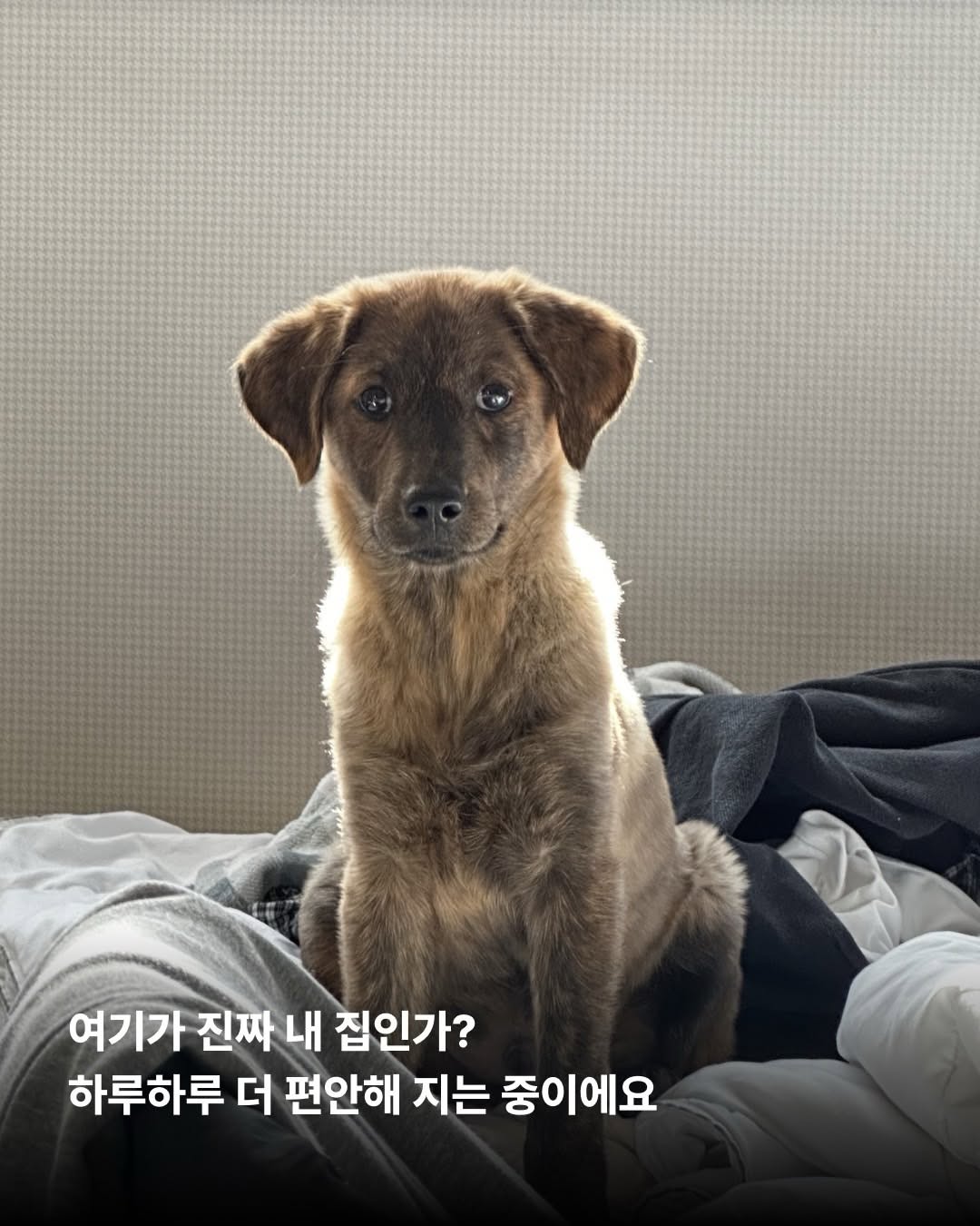 상세 사진 8