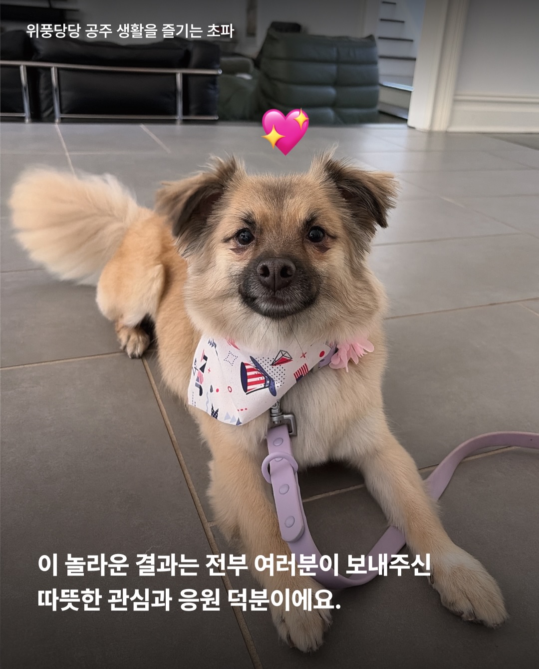 상세 사진 11