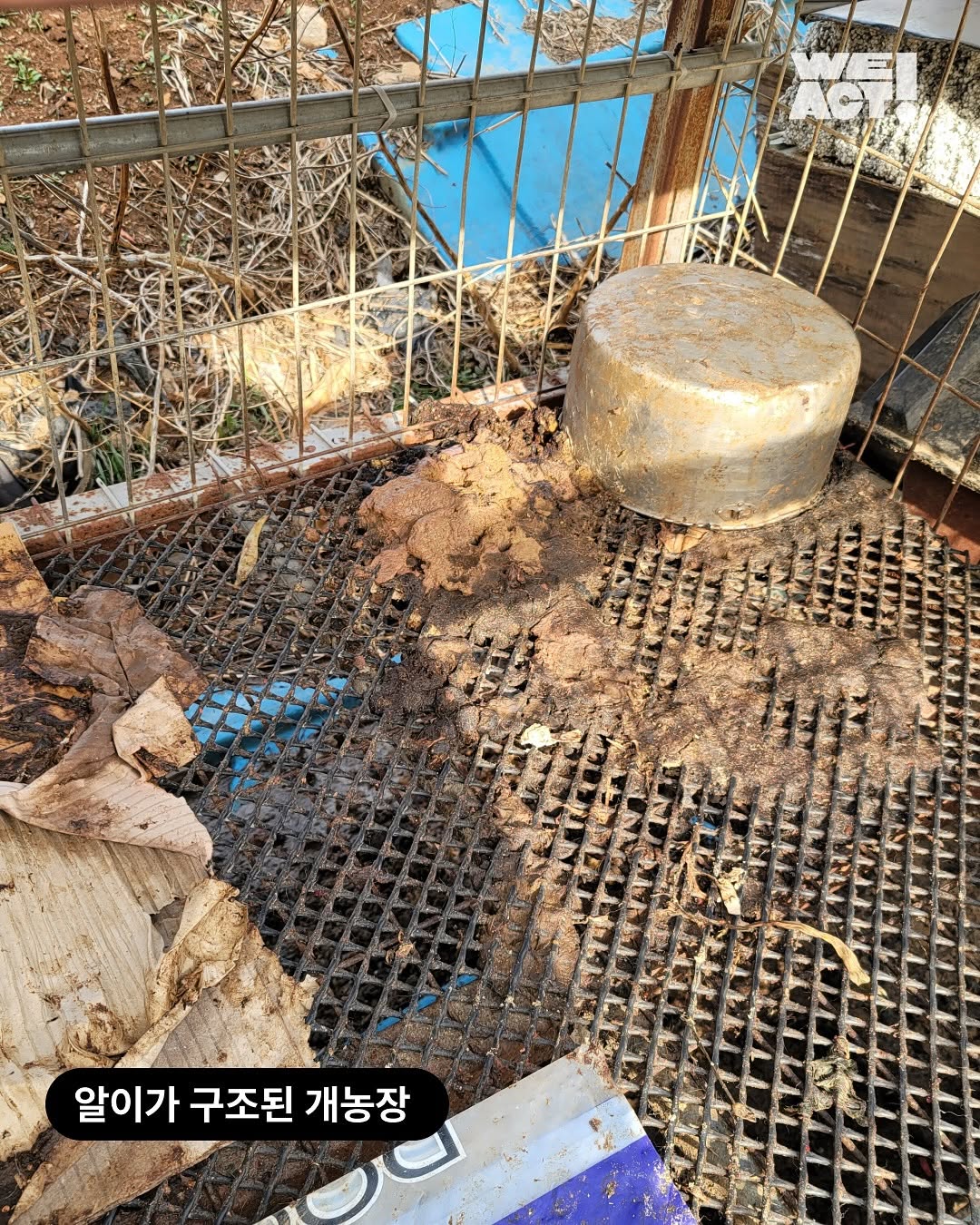 상세 사진 2
