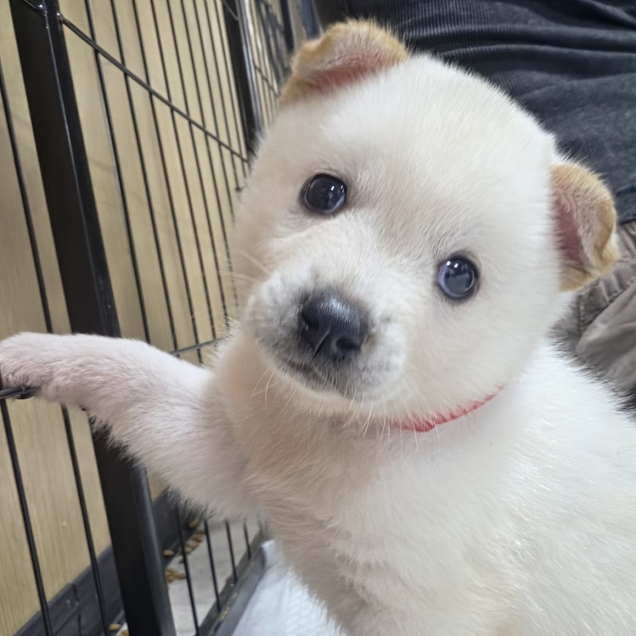 상세 사진 1